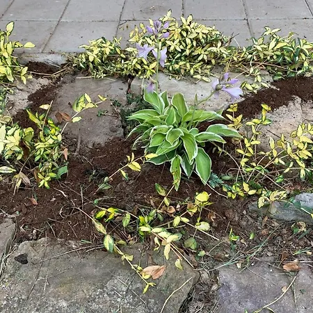 Historicky Dom * Kezmarok